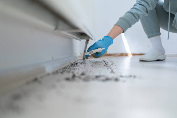 Best Termite Control Services  in Tignall, GA